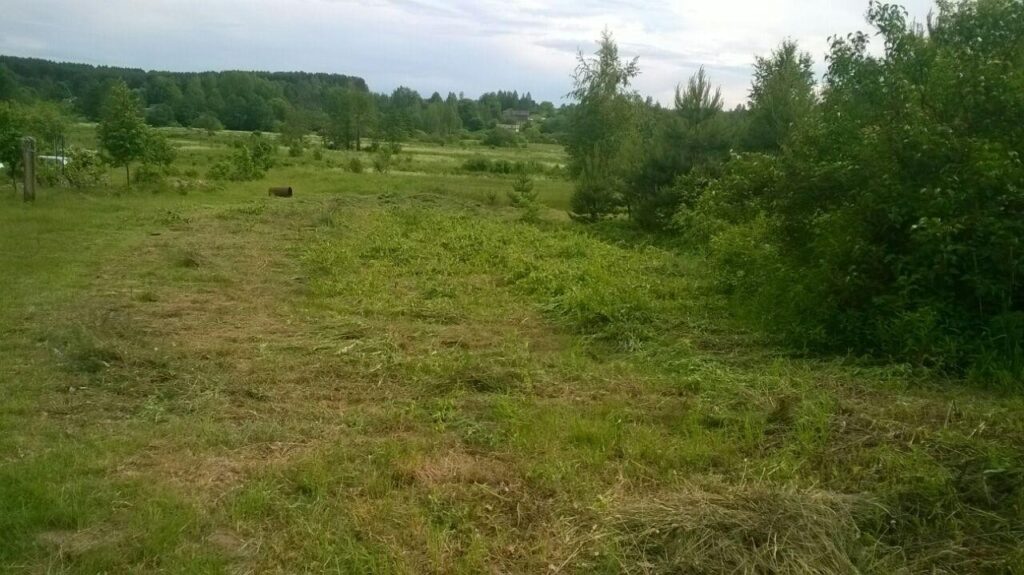 Покос высокой травы на открытом участке — после работ