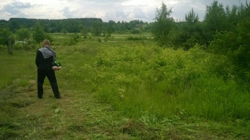 Покос высокой травы на открытом участке — до работ