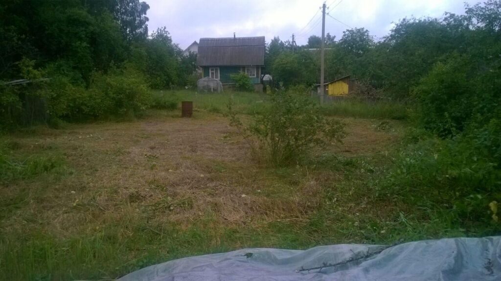 Покос и расчистка дачного участка — после работ